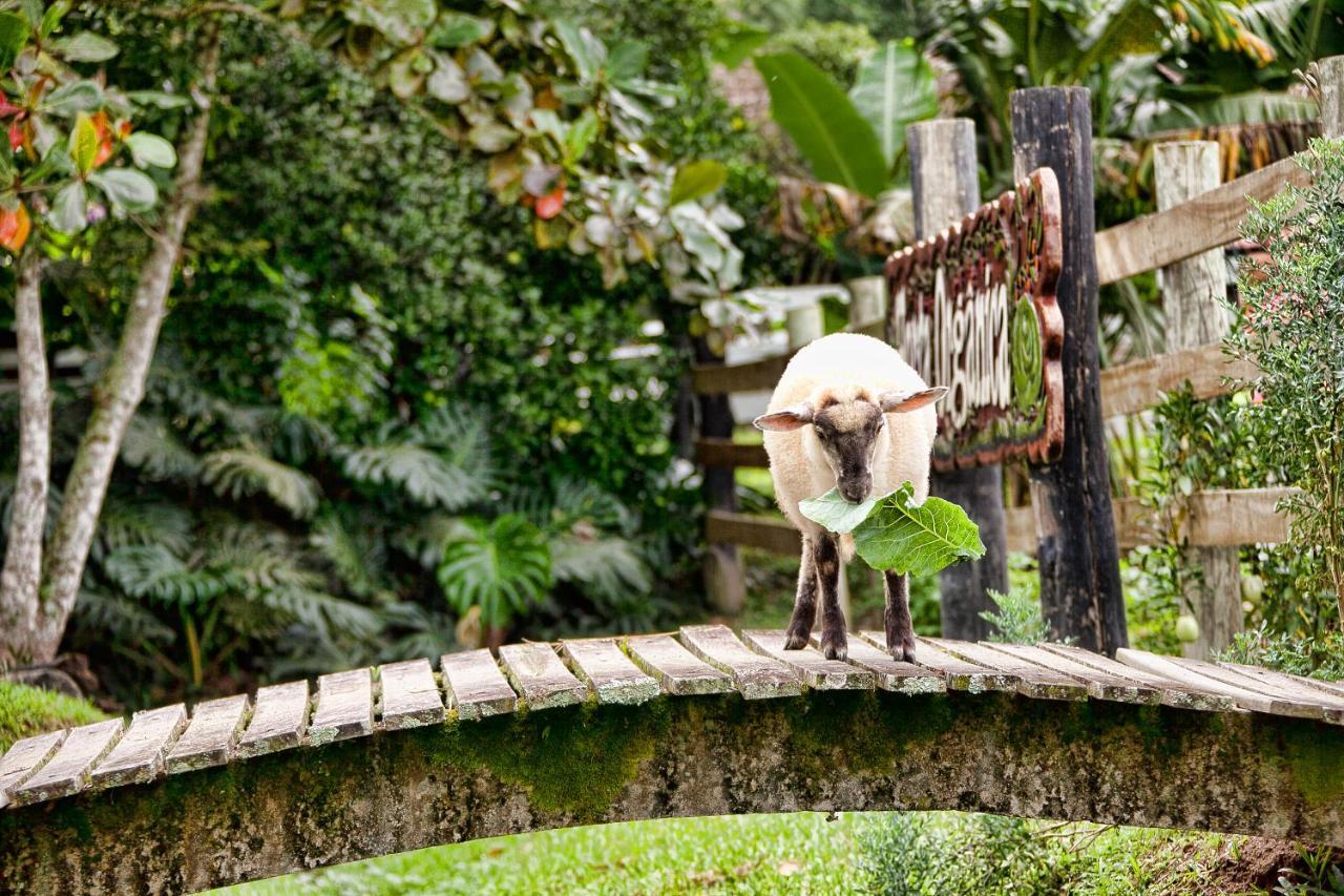 Fazzenda Park Resort Gaspar Luaran gambar