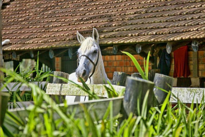 Fazzenda Park Resort Gaspar Luaran gambar